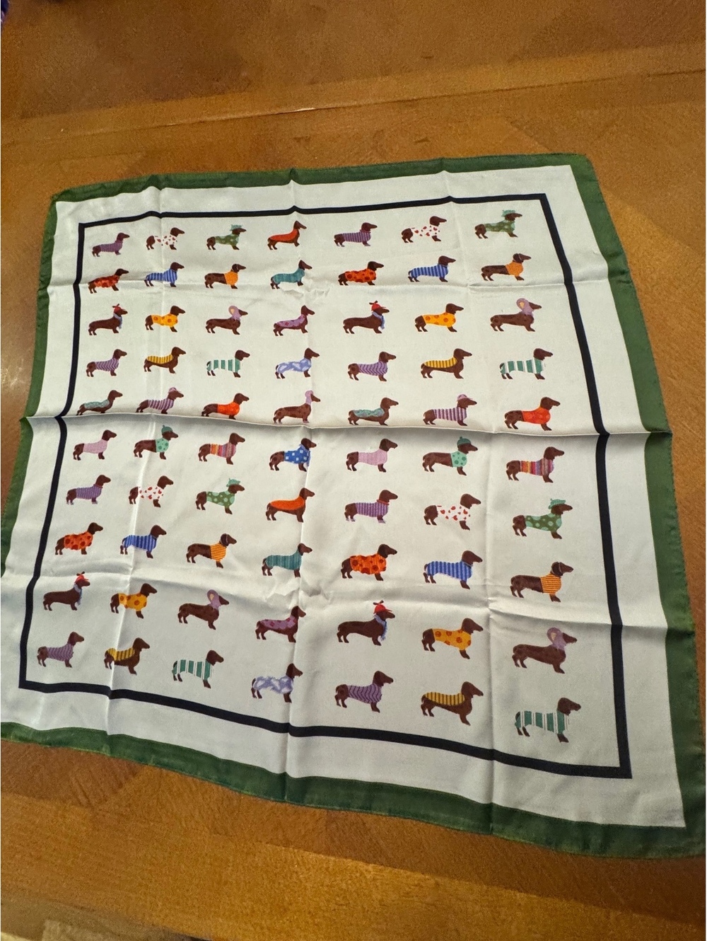 Colorful Dachshund Print Scarf with Green Border 312